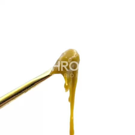 Golden Monkey Extracts – Solventless Hash Rosin – Key Lime Pie - Image 2